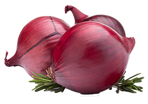 Welcome to Bowl of Piquancy Pvt. Ltd.